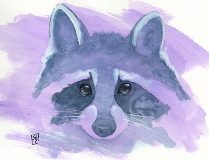 Bandit