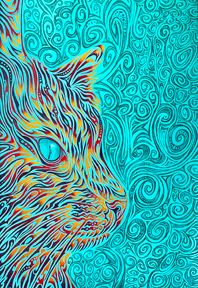 Illusion of Time and Space